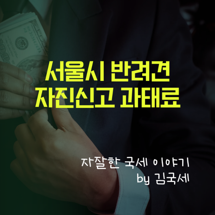  서울시 반려견 등록 변경사항 자진신고 및 과태료 부과