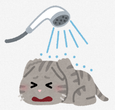  목욕에 대한 꿈해몽 모음