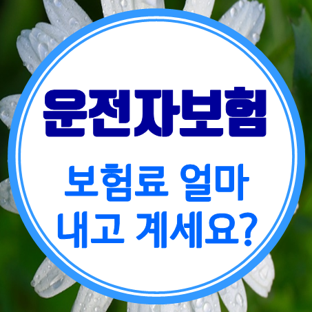  운전자보험 비용, 여러분은 얼마를 내고 계신가요?