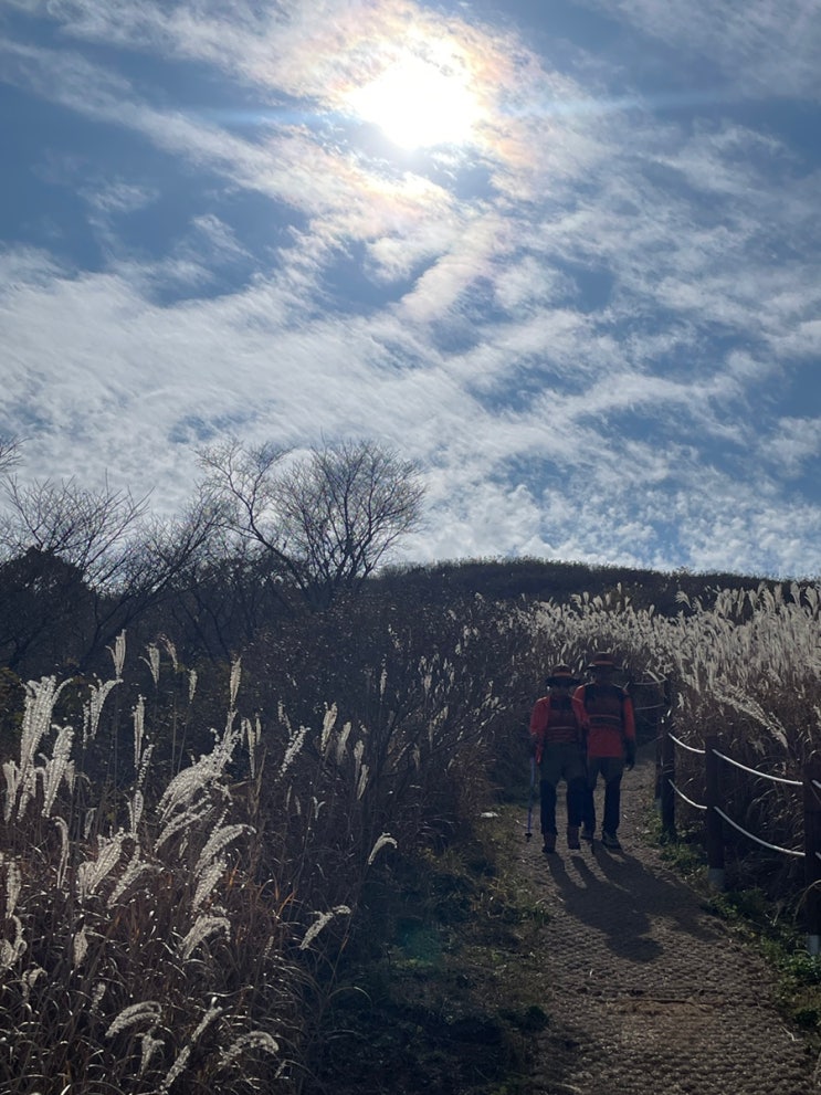  10년만에 하는 창녕 화왕산 등산 억새보러 오세요
