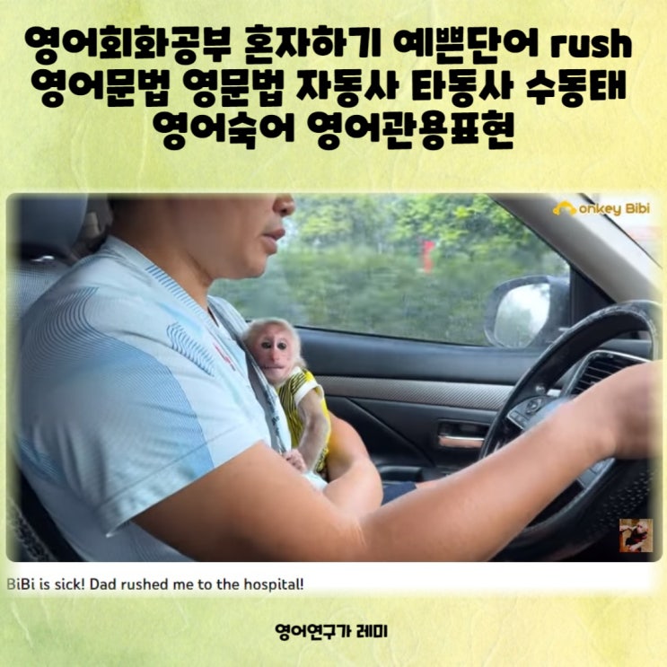 영어회화공부 혼자하기 예쁜영어단어 예쁜단어 rush 영어문법 영문법 자동사 타동사 수동태 영어숙어 영어관용표현