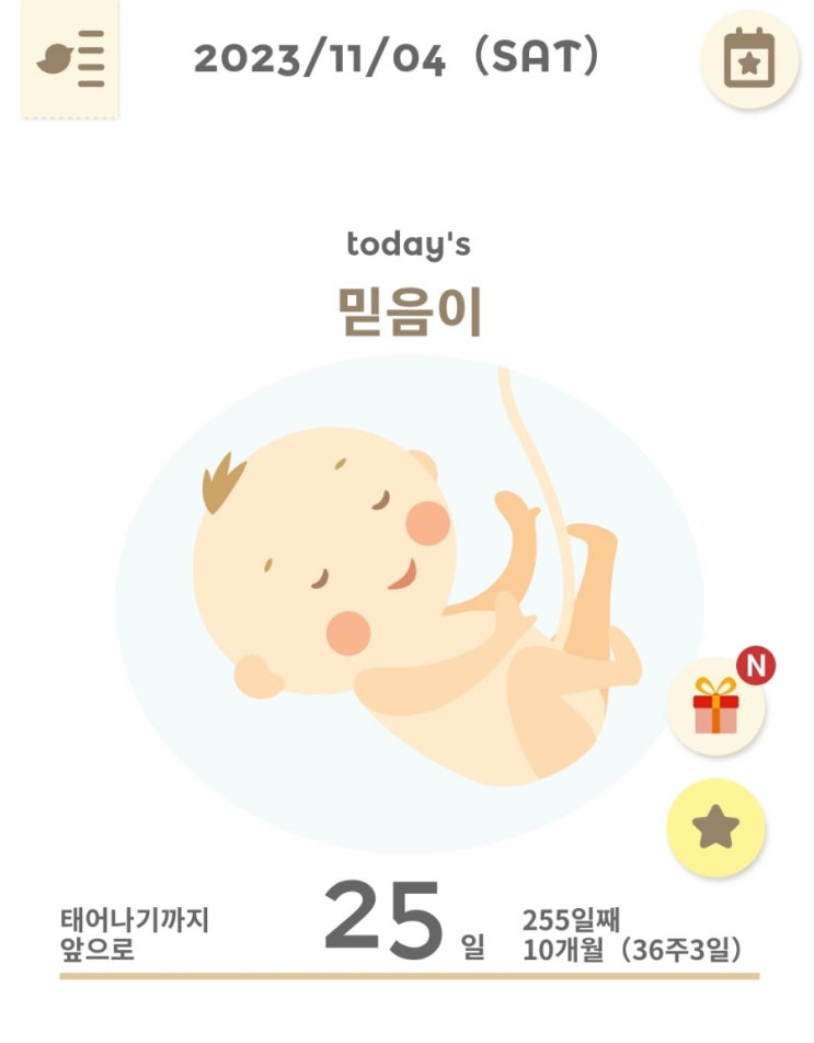 <b>둘째 임신</b>36주 3,4일/ 배가 살살아프기도 함/ 얌전히... 