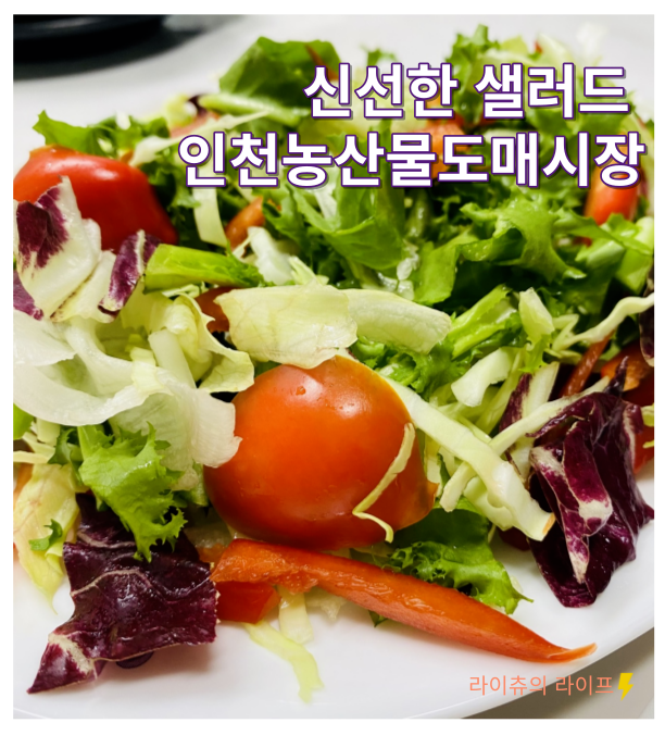 맛있는 샐러드 직접 만들기 '인천남촌농산물도매시장' 내돈내산