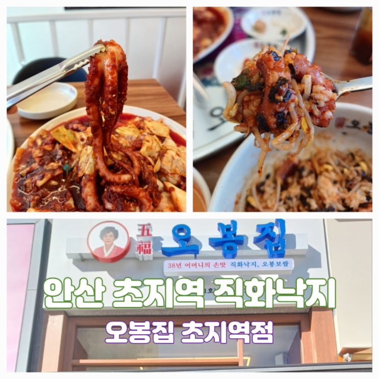 안산 초지역직화낙지 점심특선 직화낙지볶음 맛집 오봉집 초지역점 안산 초지역직화낙지 점심특선 직화낙지볶음 맛집 오봉집 초지역점