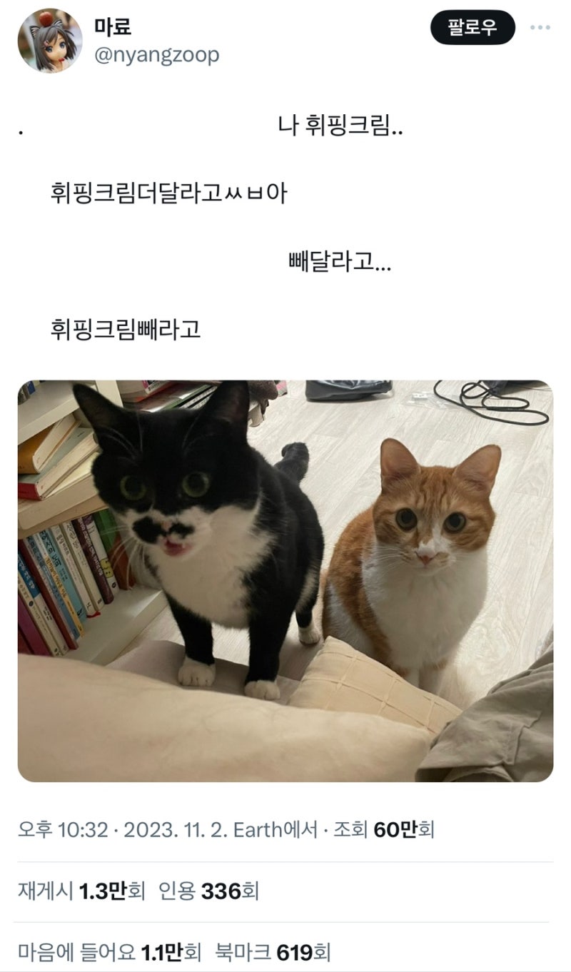 10월 30일 - 11월 4일 : 네이버 블로그, image size:800x1362