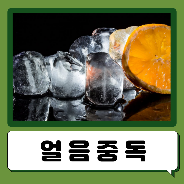  빙식증 빙섭취증 얼음중독 이유
