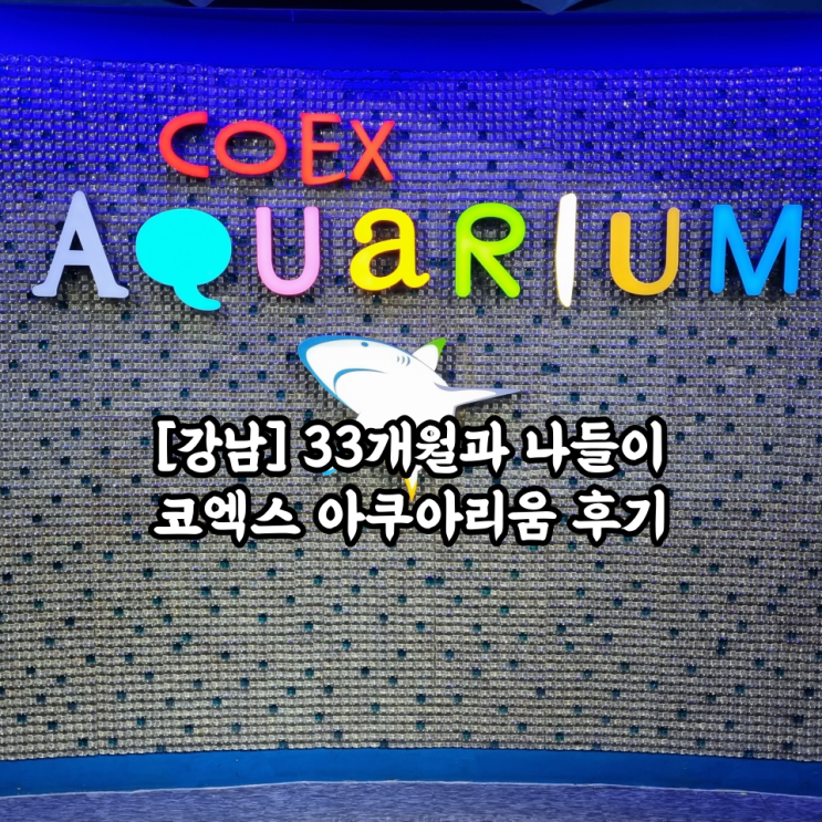  [내돈내산/강남] 33개월과 나들이 코엑스 아쿠아리움 후기