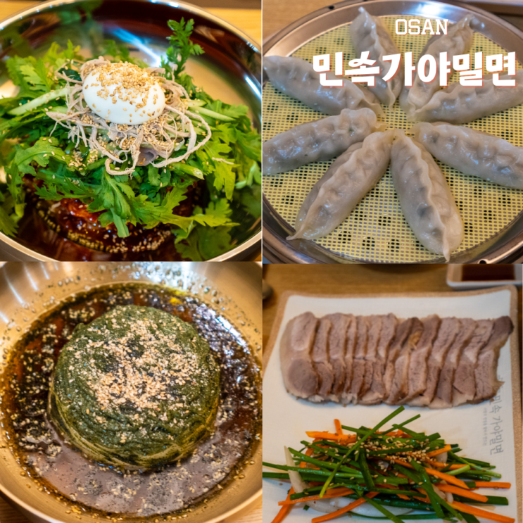  오산 운암 맛집 자가제면 민속가야밀면 세교 직영점