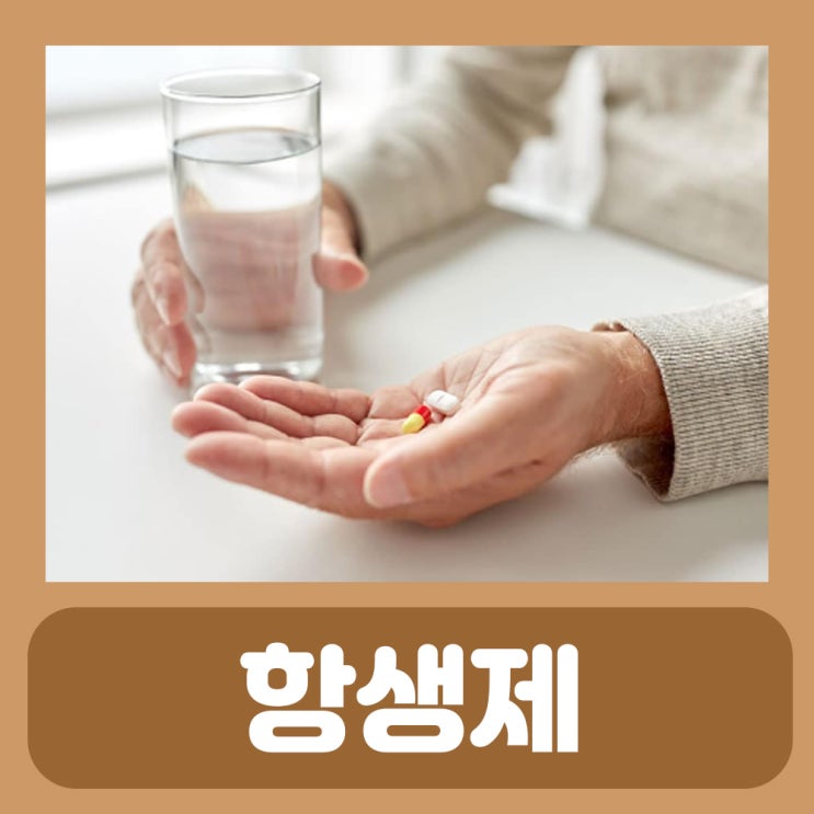  세파계 세팔로스포린계 페니실린계 항생제 부작용