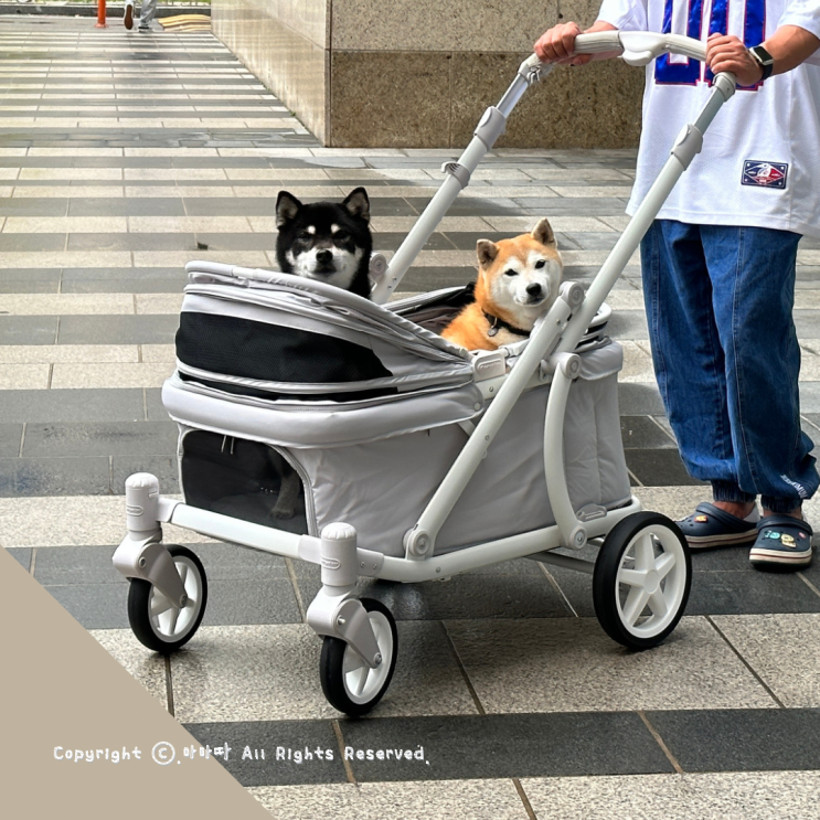  스타필드 애견동반 강아지유모차 있으면 완전 편해요