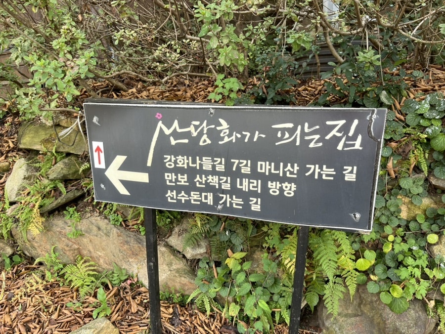 산당화가피는집 사진 3