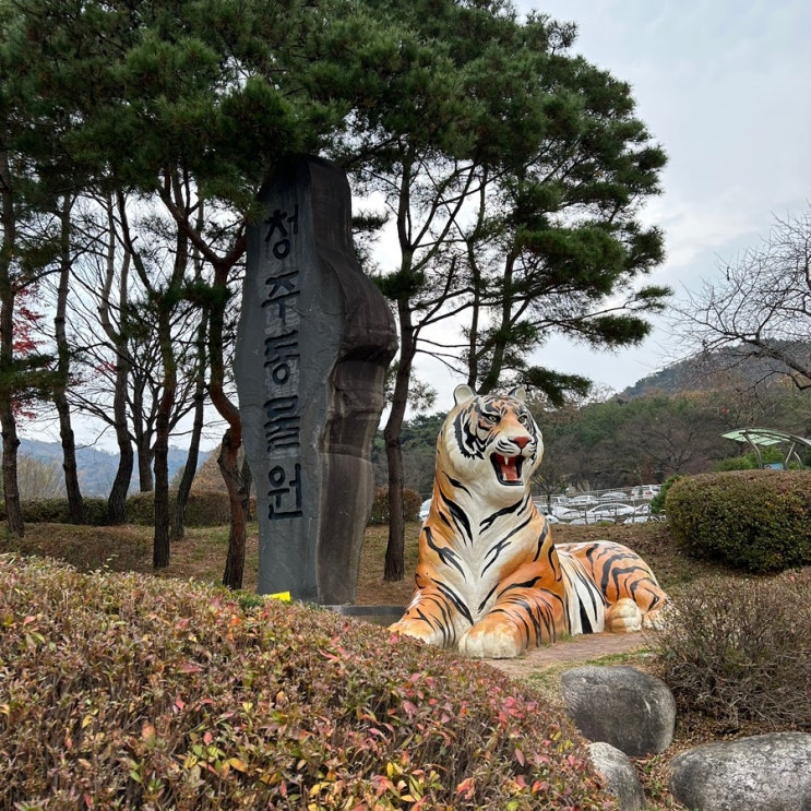  14개월 아기랑 같이 간 청주랜드동물원 (유모차 대여 및 수유실) 청주 가볼 만한 곳[명암저수지 근처]