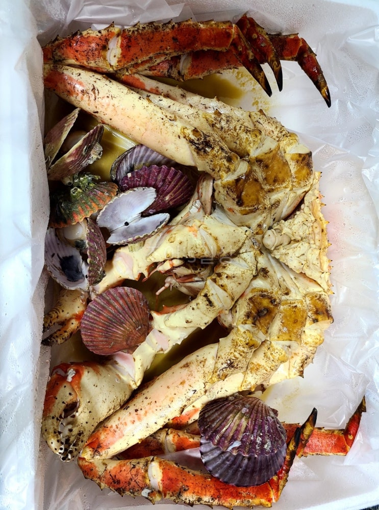  [천안맛집]천안농수산도매시장 킹크랩 포장 내돈내산 후기