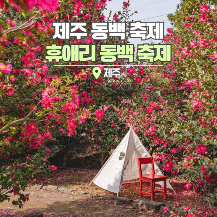  휴애리 동백 축제 제주 동백꽃 명소 겨울 여행 갈만한곳 꽃말
