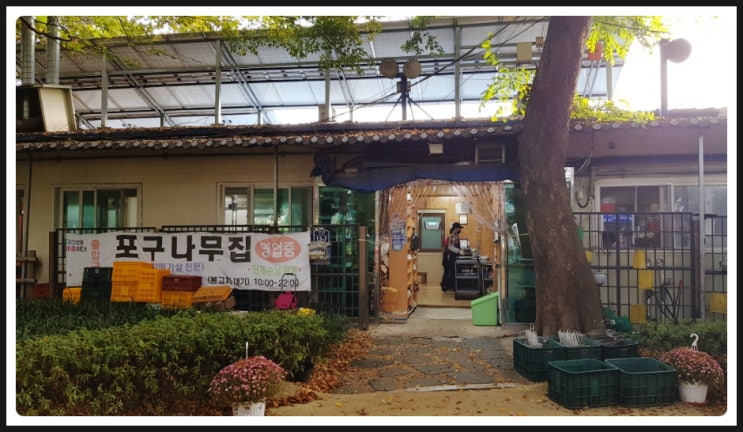  【맛집】 포구나무집