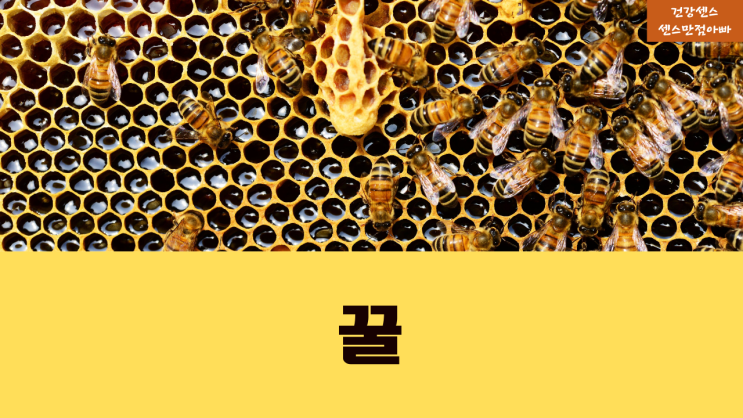  집 보관 중인 벌이 꿀 만드는 과정, 꿀 성분 : 소화 숙취 해열에 좋은 꿀 효능 알아보기