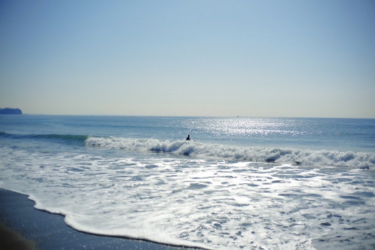  올해 찍은 사진, 그래도 올해는 한국 두 번 갔다