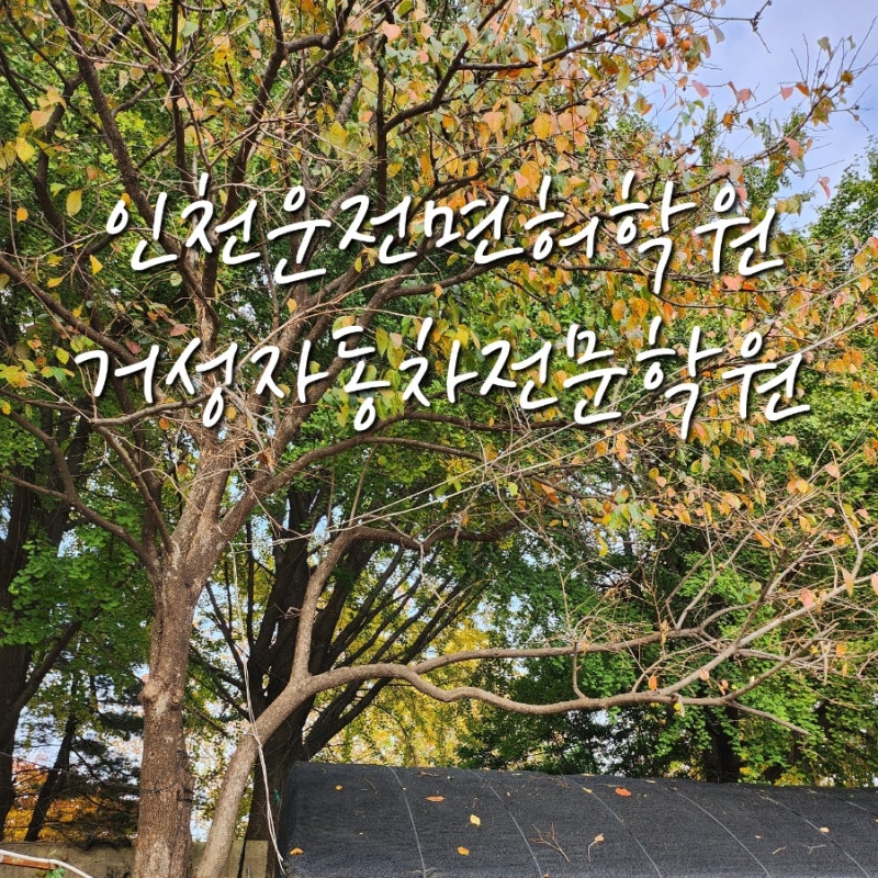 인천운전면허학원 싼곳 거성자동차학원 주말 실격과 합격 후기 2종보통