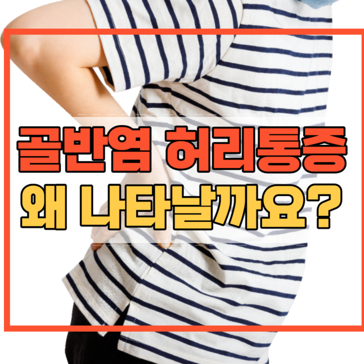  골반염 허리통증 왜 나타날까요?