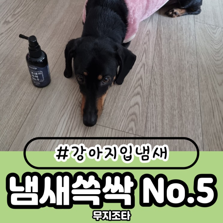  강아지입냄새 구강 관리용 스프레이 무지조타-냄새쓱싹 No.5