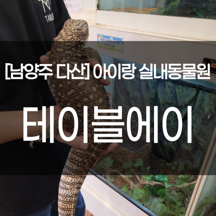  서울근교 실내동물원. 테이블에이 다산 아이와 가볼만한 곳.(주차,요금,먹이체험)