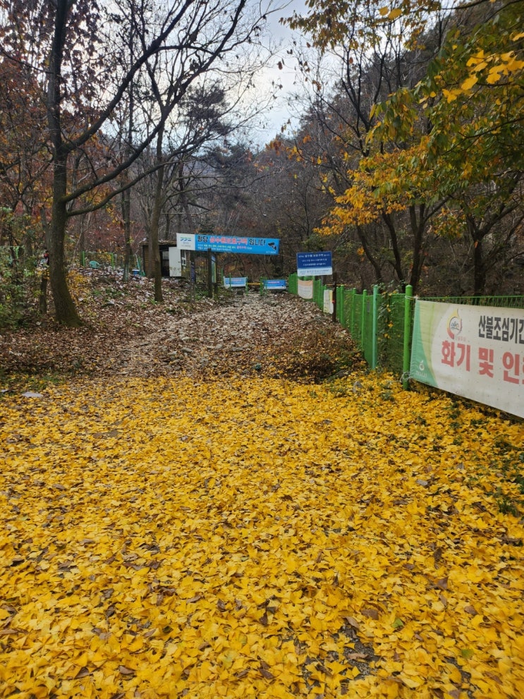  【검단산 등산로 추천】  기왓집순두부  주차정보