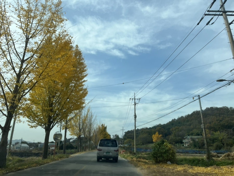 산당화가피는집 사진 1