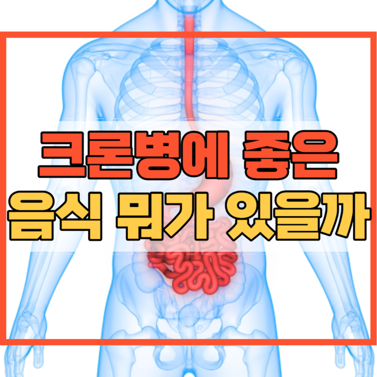  크론병에 좋은 음식 뭐가 있을까요?