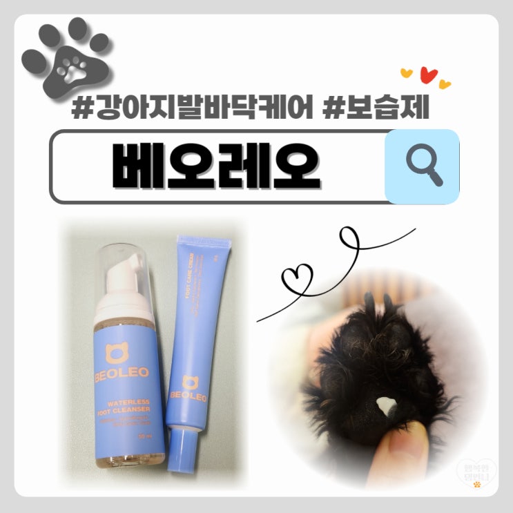  강아지 산책용품은 베오레오 워터리스 발바닥 클렌저&보습제로 한번에! 진심 너무좋다!