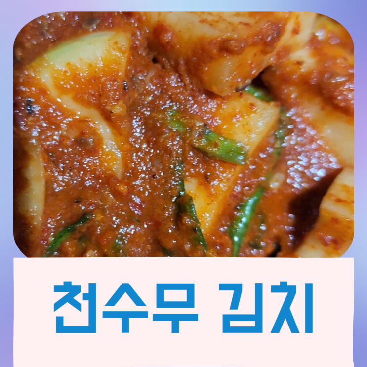  천수무 김치 특징 효능 가격 담는법