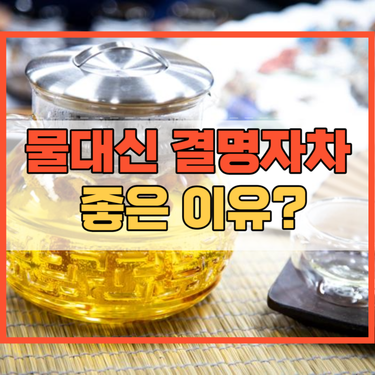  물대신 결명자차 좋은 이유 알고 계셨나요?