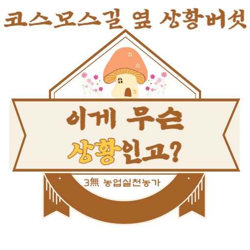  유기농 상황버섯진액 효능 코스모스길 옆 상황버섯 한잔으로 챙겨요
