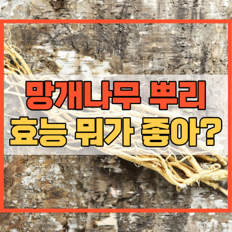  망개나무 뿌리 효능 어디에 좋을까요?