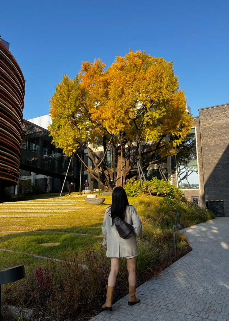  가을 반바지 미들부츠 코디：트렌치코트 가디건 데일리룩