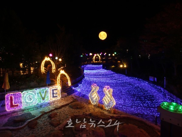  24만여 점의 다양한 국화, 2023 월출산국화축제 관광객 발길 이어져