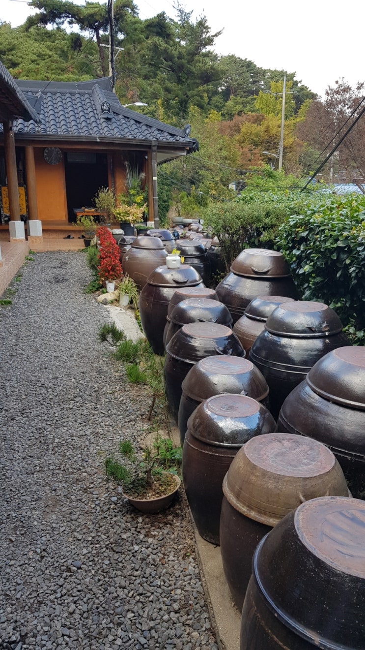  【맛집】 오륜대 오리고기 맛집 울산 집