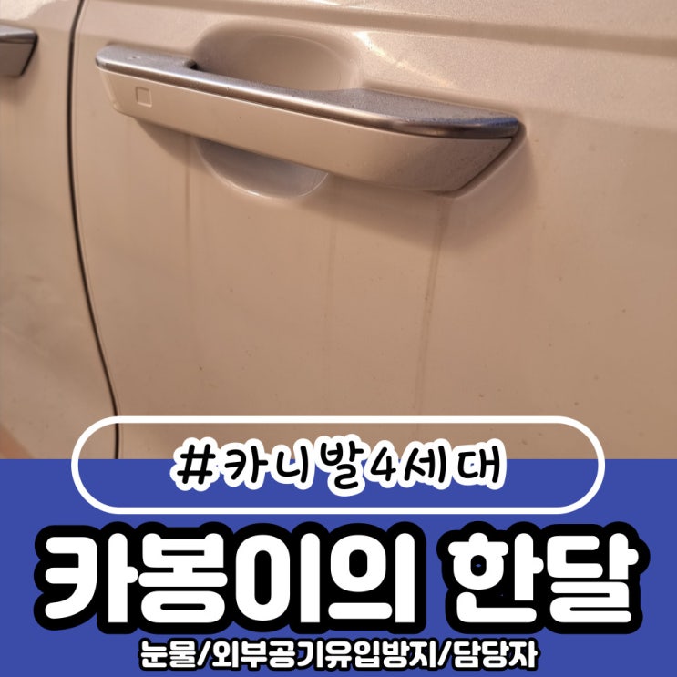  카니발4세대 카봉이의 눈물