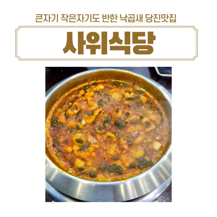  당진시청맛집 큰자기 작은자기도 반한 낙곱새 맛집 사위식당 당진점