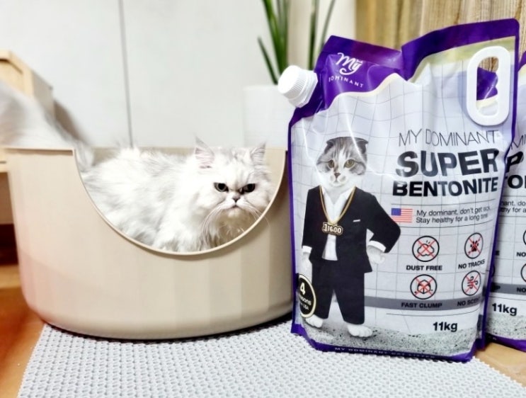  고양이 모래 추천  6냥이와 집사의 최애 벤토나이트 마이도미넌트 (전체갈이 후 버리기)