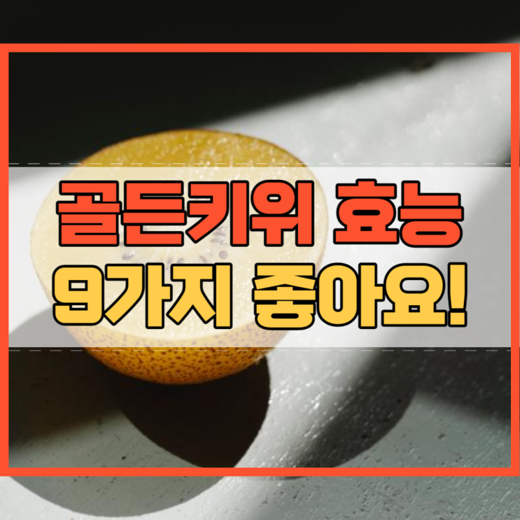  골든키위 효능 9가지 맛도 좋고 몸에도 좋아요!