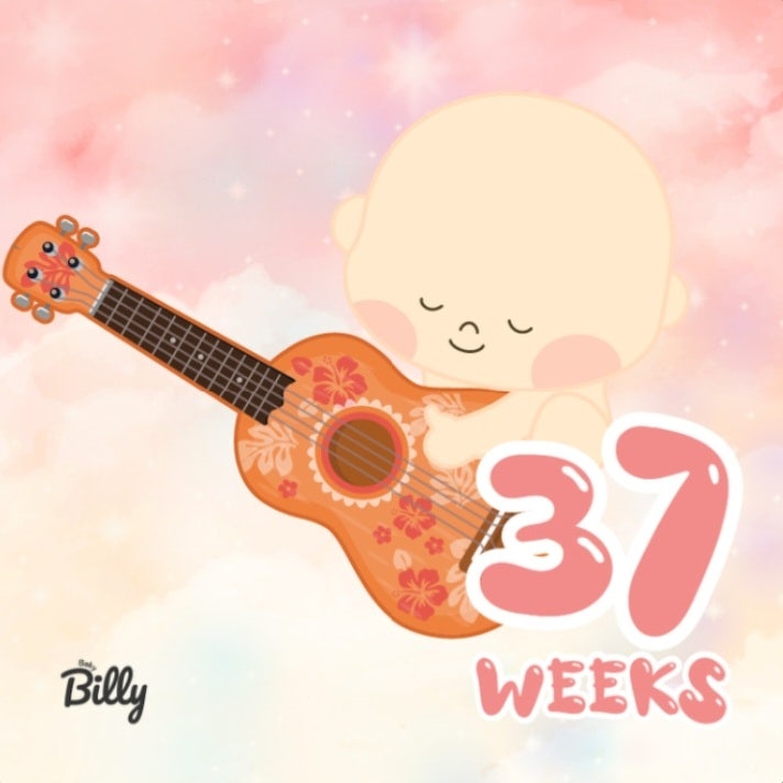 임신일기 37주 : 출산안내 출산계획 입원준비