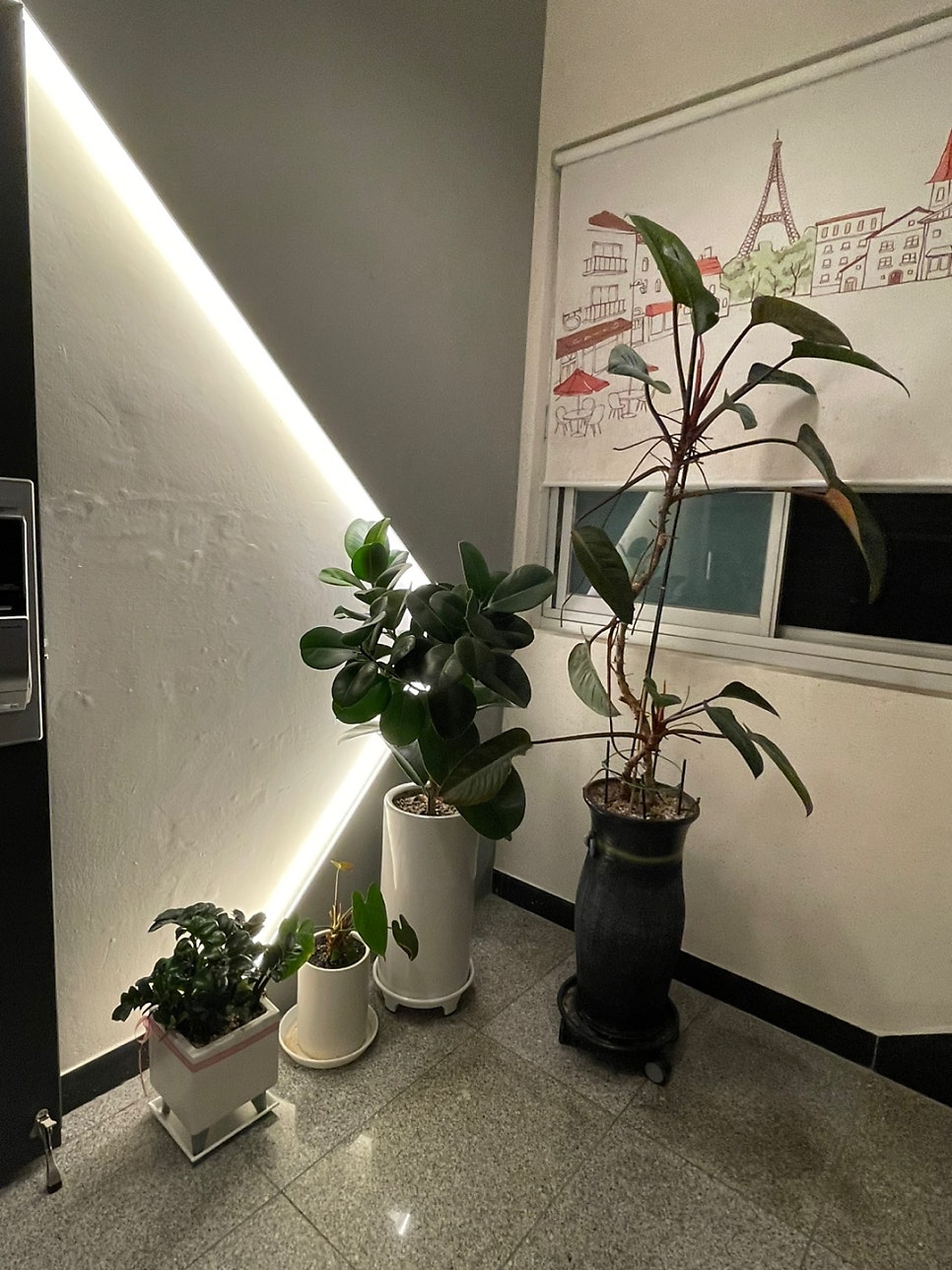 앙뜰 사진 6