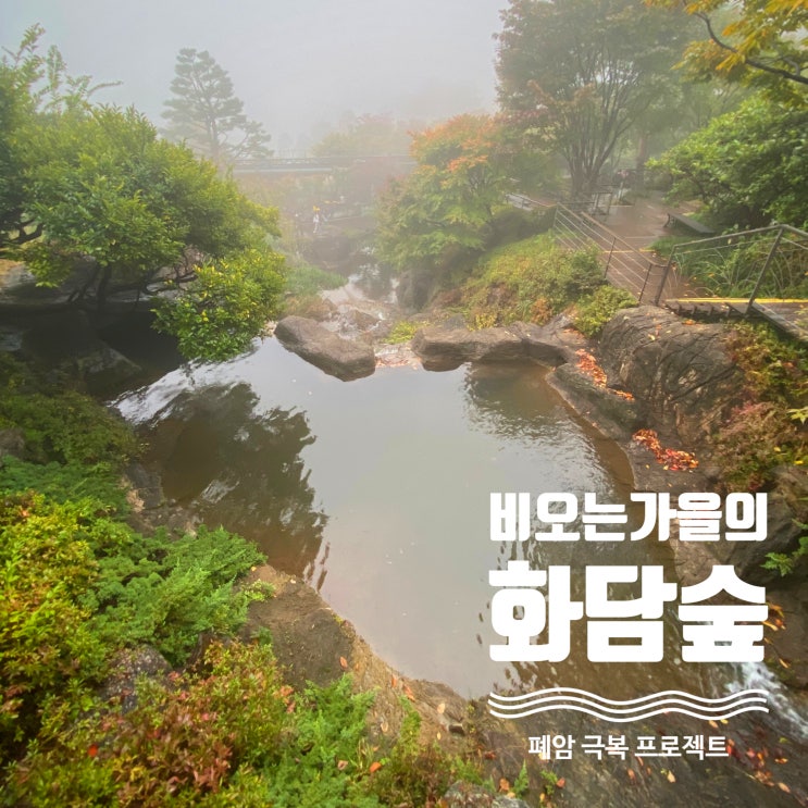  비 오는 가을의 곤지암 화담숲은 몽환적이었다