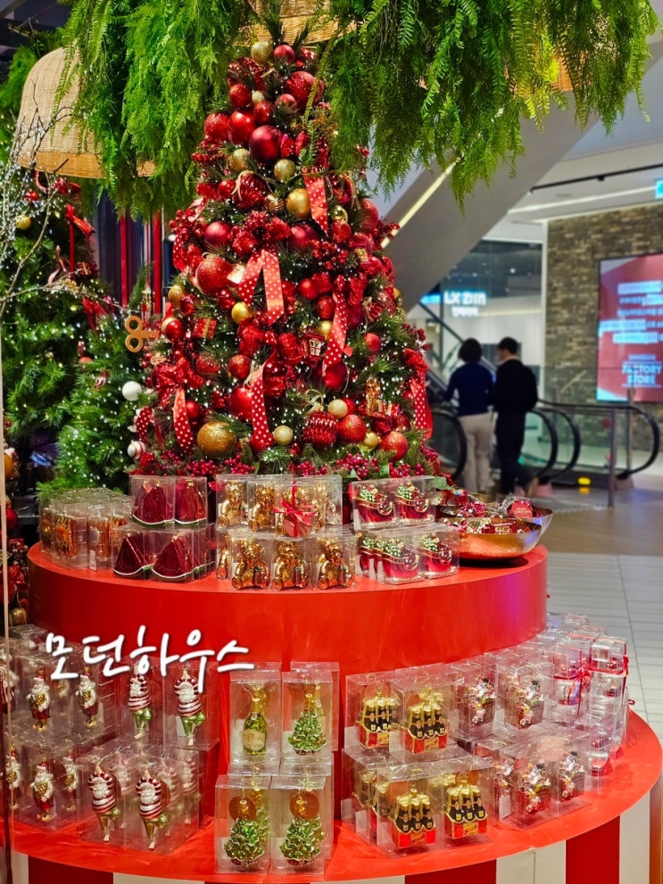  모던하우스 부산 신세계센텀몰점 크리스마스 홈파티 트리 준비하기