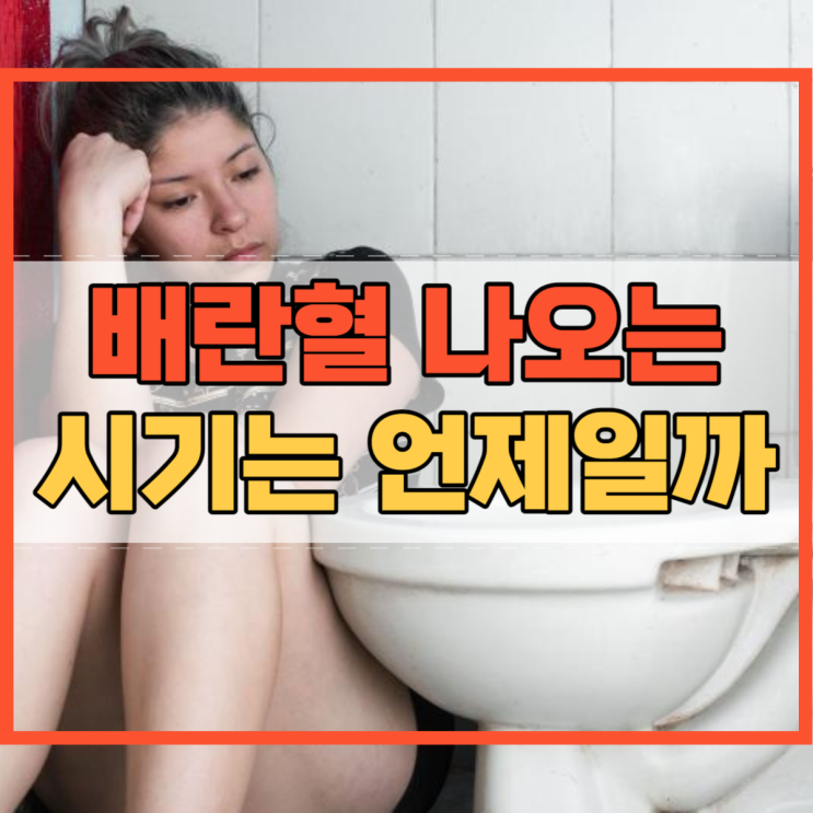  배란혈 나오는 시기 나타나지 않는다면?