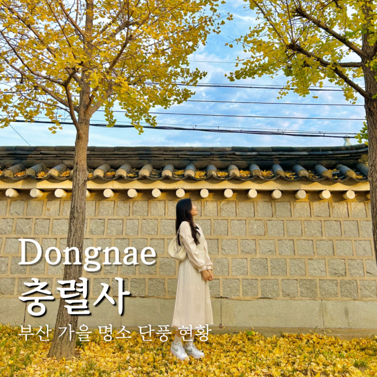  부산 가을 명소 동래 충렬사 단풍 현황 시기 및 주차 정보