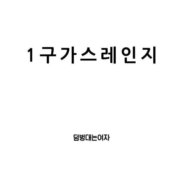  1구 가스레인지 추천 ! 휴대용 VS 빌트인 당신의 선택은?