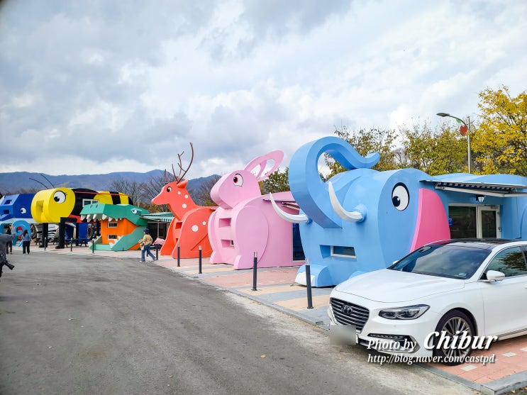  전북 여행 글램핑 오토캠핑 갖춘 추천 캠핑장 전북 장수 누리파크