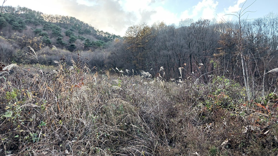 마두산 사진 4
