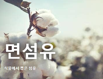  [백데이터] 원면